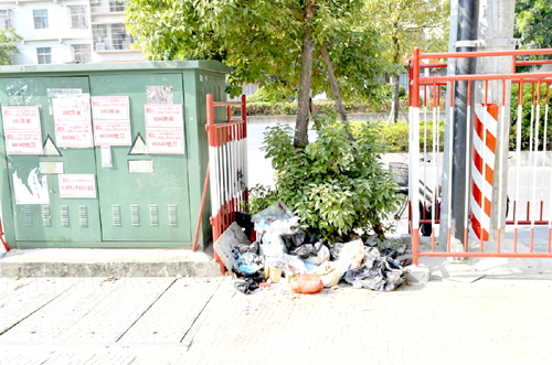 东阳街道蓝和社区九巷路口一公用电缆分接箱旁堆放不少垃圾.